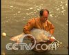 CCTV7养大鱼为了卖小鱼(2009.7.30)