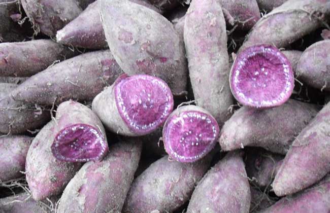 紫薯的营养价值