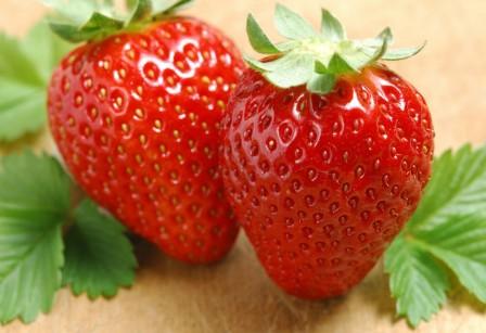 草莓栽培的效益分析和发展前景