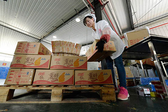 5月4日，西吉县一家马铃薯加工企业工作人员将马铃薯薄脆饼干装箱。